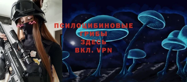 круглые Ладушкин