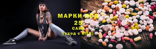 дурь Лабытнанги