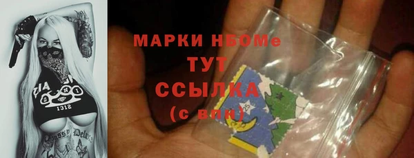 индика Кукмор