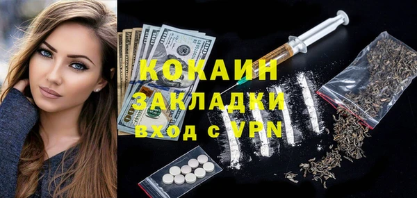 дурь Лабытнанги