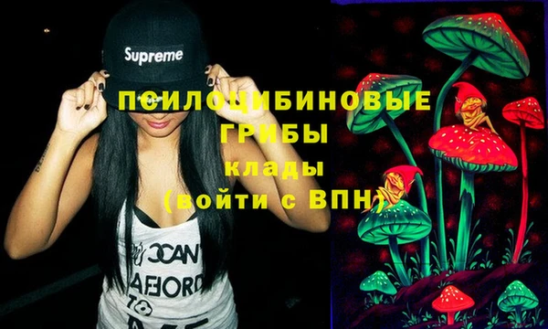 индика Магадан
