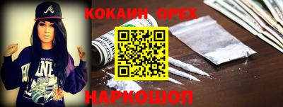 индика Гусь-Хрустальный