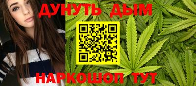 индика Гусь-Хрустальный