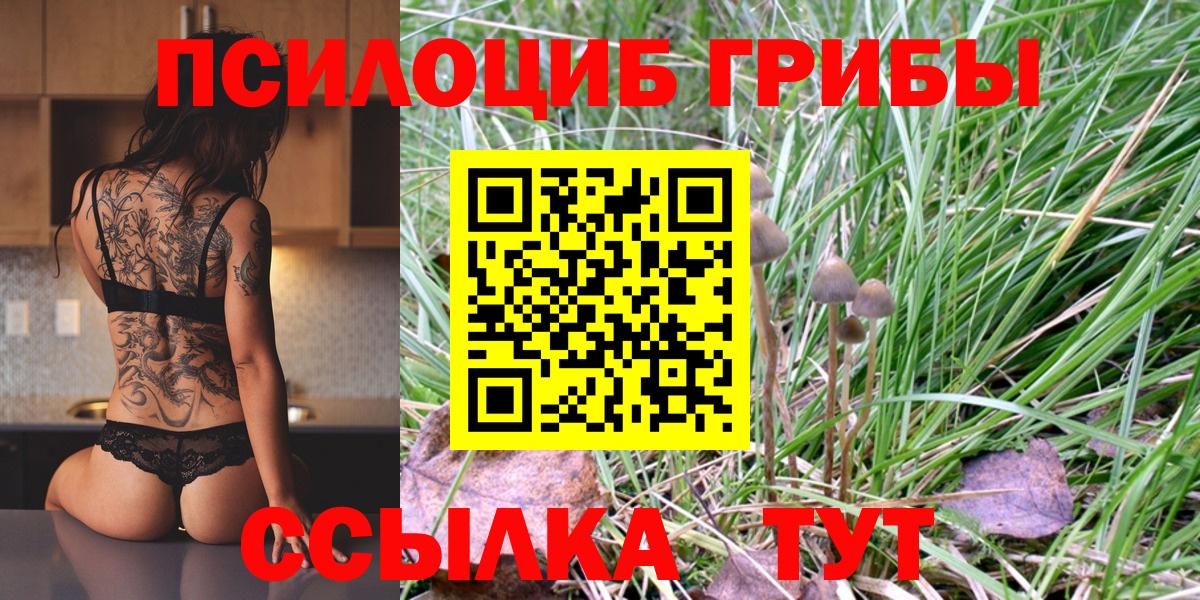 Псилоцибиновые грибы Psilocybine cubensis  Галлюциногенные грибы Psilocybine cubensis  Вход с VPN  Мелеуз 